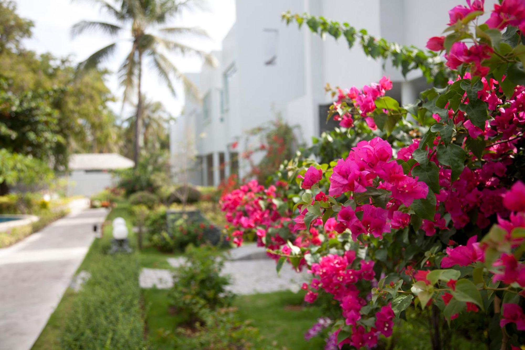 Absolute Beachfront Villa Ban Huai Yang 외부 사진